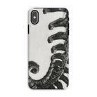 Polystichum Munitum (prickly Shield–fern) - Karl Blossfeldt Iphone Case - Xs Max / Matte