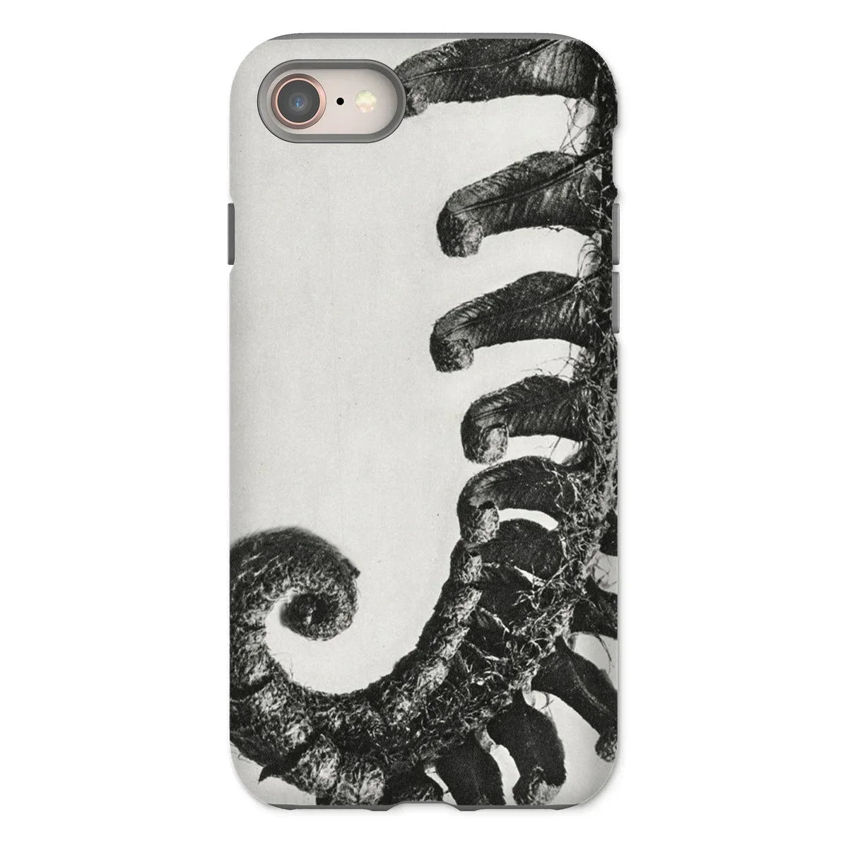 Polystichum Munitum (prickly Shield–fern) - Karl Blossfeldt Iphone Case - 8 / Matte