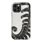 Polystichum Munitum (prickly Shield–fern) - Karl Blossfeldt Iphone Case 12 Pro / Matte Mobile Phone Cases