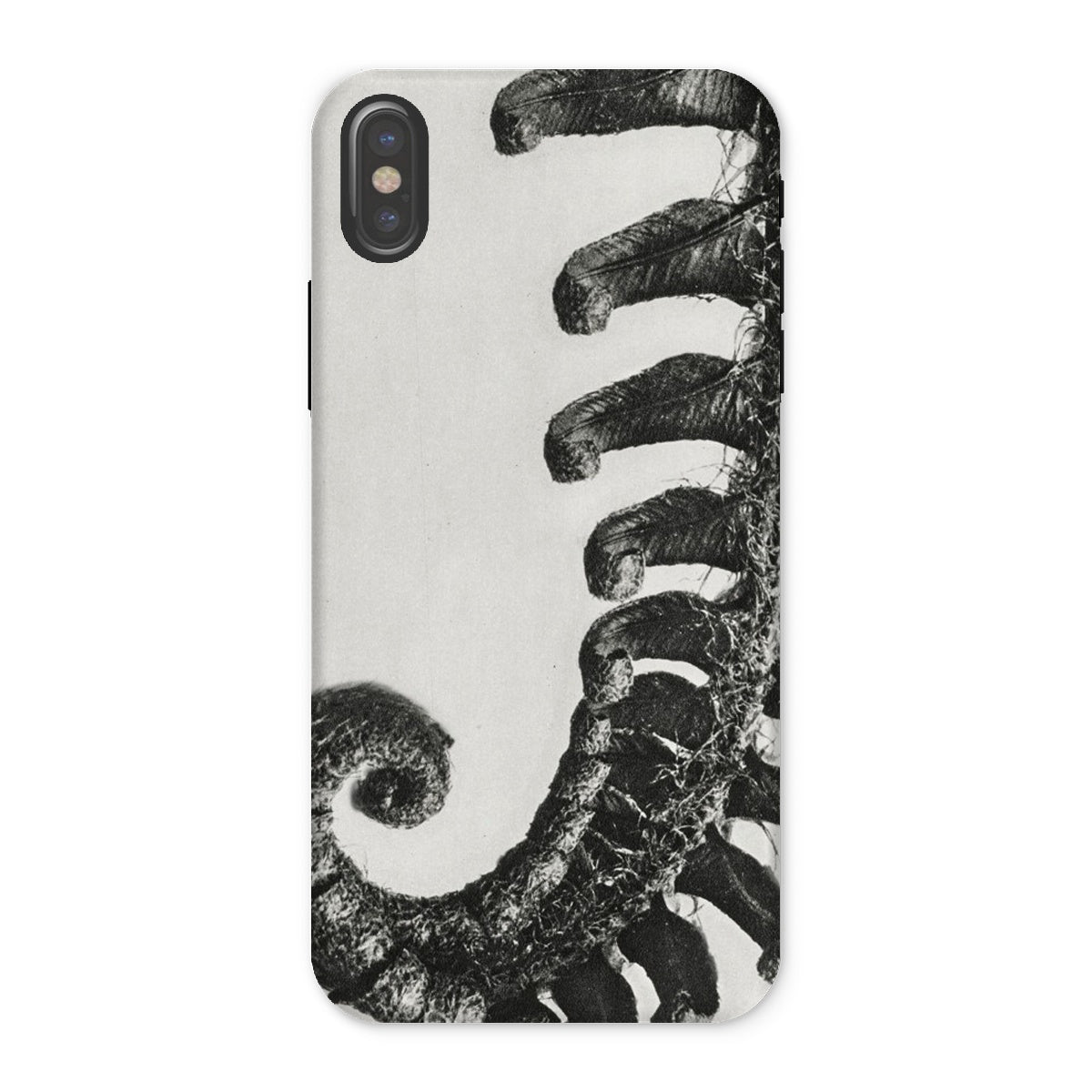 Polystichum Munitum (prickly Shield–fern) Karl Blossfeldt Iphone Case, x / Matte, Phone Case Black White Image Curled Elephant Trunk
