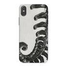 Polystichum Munitum (prickly Shield–fern) Karl Blossfeldt Iphone Case, x / Matte, Phone Case Black White Image Curled Elephant Trunk