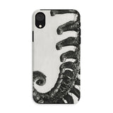 Polystichum Munitum (prickly Shield–fern) - Karl Blossfeldt Iphone Case, Xr / Matte, Phone Case Black White Design Curled Elephant Trunks