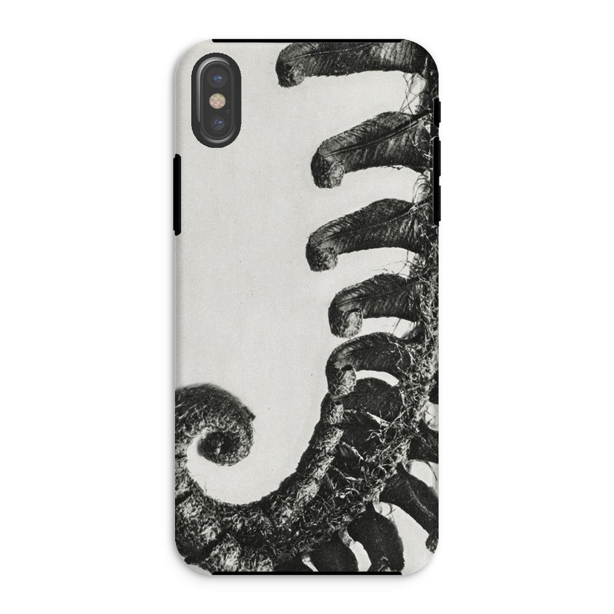 Polystichum Munitum (prickly Shield–fern) Karl Blossfeldt Iphone Case, Xs / Matte, Phone Case Black White Design Curled Fern Plant
