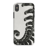 Polystichum Munitum (prickly Shield–fern) - Karl Blossfeldt Iphone Case, Xs / Matte, Phone Case Black White Design Curled Fern Plant