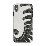 Polystichum Munitum (prickly Shield–fern) - Karl Blossfeldt Iphone Case, Xs Max / Matte, Phone Case Black White Design Curled Fern Frond