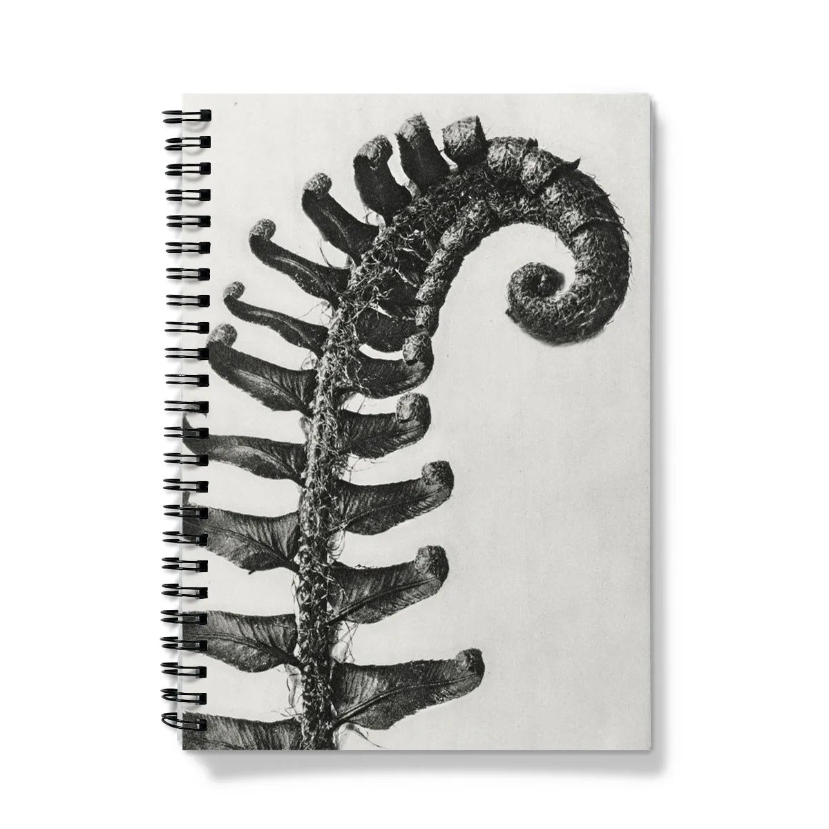 Polystichum Munitum (prickly Shield–fern) By Karl Blossfeldt Notebook - Notebooks & Notepads - Aesthetic Art