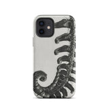 Polystichum Munitum (prickly Shield–fern) - Karl Blossfeldt Phone Case Iphone 12 / Matte Fern-patterned Phone Case Karl Blossfeldt,