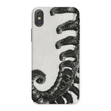 Polystichum Munitum (prickly Shield–fern) - Karl Blossfeldt Phone Case Iphone x / Matte Phone Case Black White Image Curled Elephant Trunk