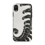Polystichum Munitum (prickly Shield–fern) - Karl Blossfeldt Phone Case Iphone Xr / Matte Phone Case Black White Design Curled Elephant