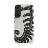 Polystichum Munitum (prickly Shield–fern) - Karl Blossfeldt Phone Case Samsung Galaxy S22 Plus / Matte Black White Fern Phone Case Detailed