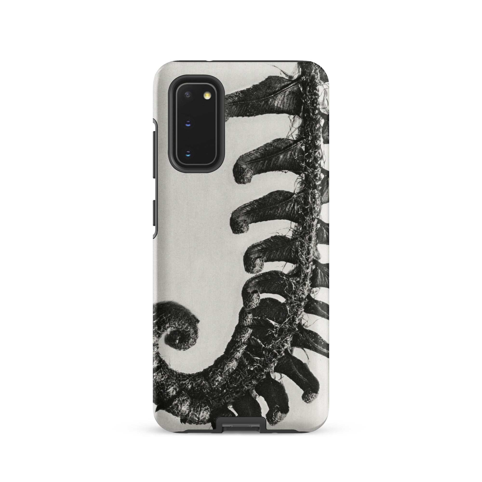 Polystichum Munitum (prickly Shield–fern) - Karl Blossfeldt Samsung Case, Galaxy S20 / Matte, Black-and-white Fern Design Phone Case