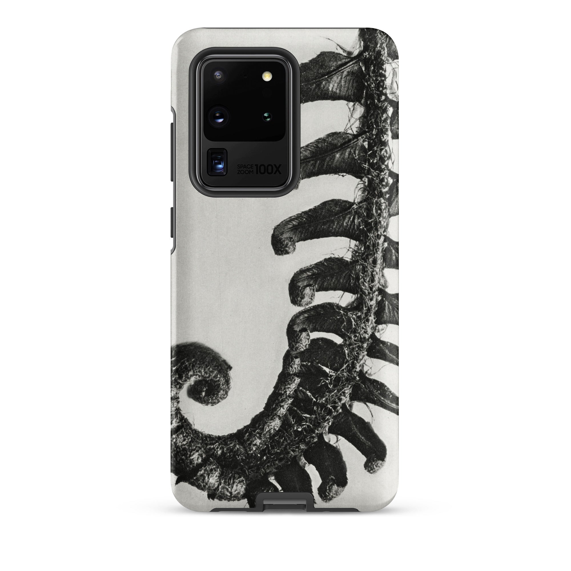 Polystichum Munitum (prickly Shield–fern) - Karl Blossfeldt Samsung Case, Galaxy S20 Ultra / Matte, Smartphone Case Black White Fern Design