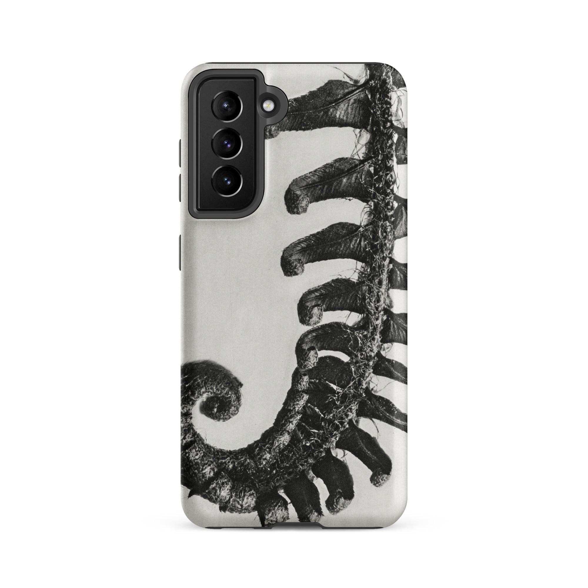 Polystichum Munitum (prickly Shield–fern) - Karl Blossfeldt Samsung Case, Galaxy S21 Fe / Matte, Smartphone Black White Fern-themed