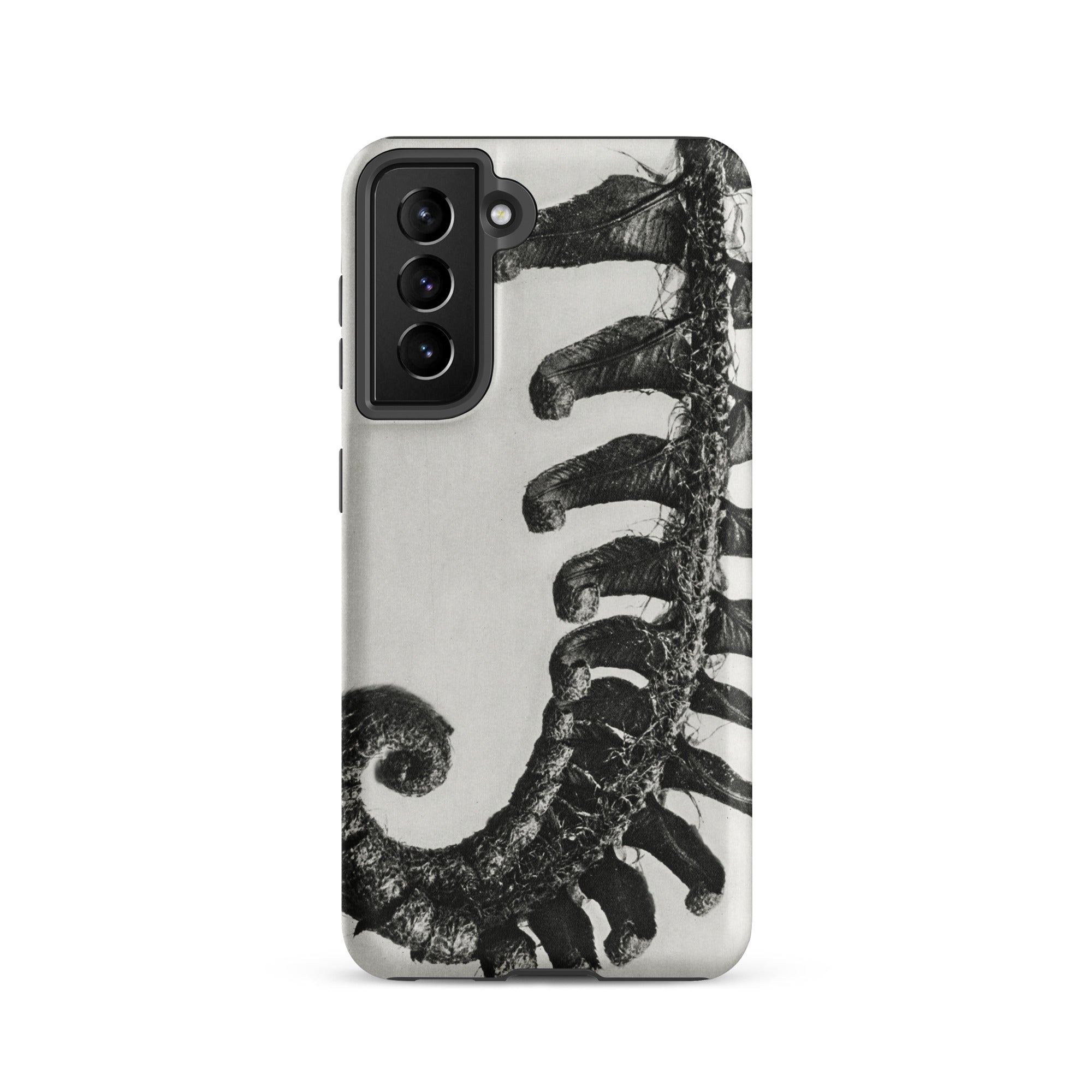 Polystichum Munitum (prickly Shield–fern) - Karl Blossfeldt Samsung Case, Galaxy S21 / Matte, White Smartphone Case Black Fern Design