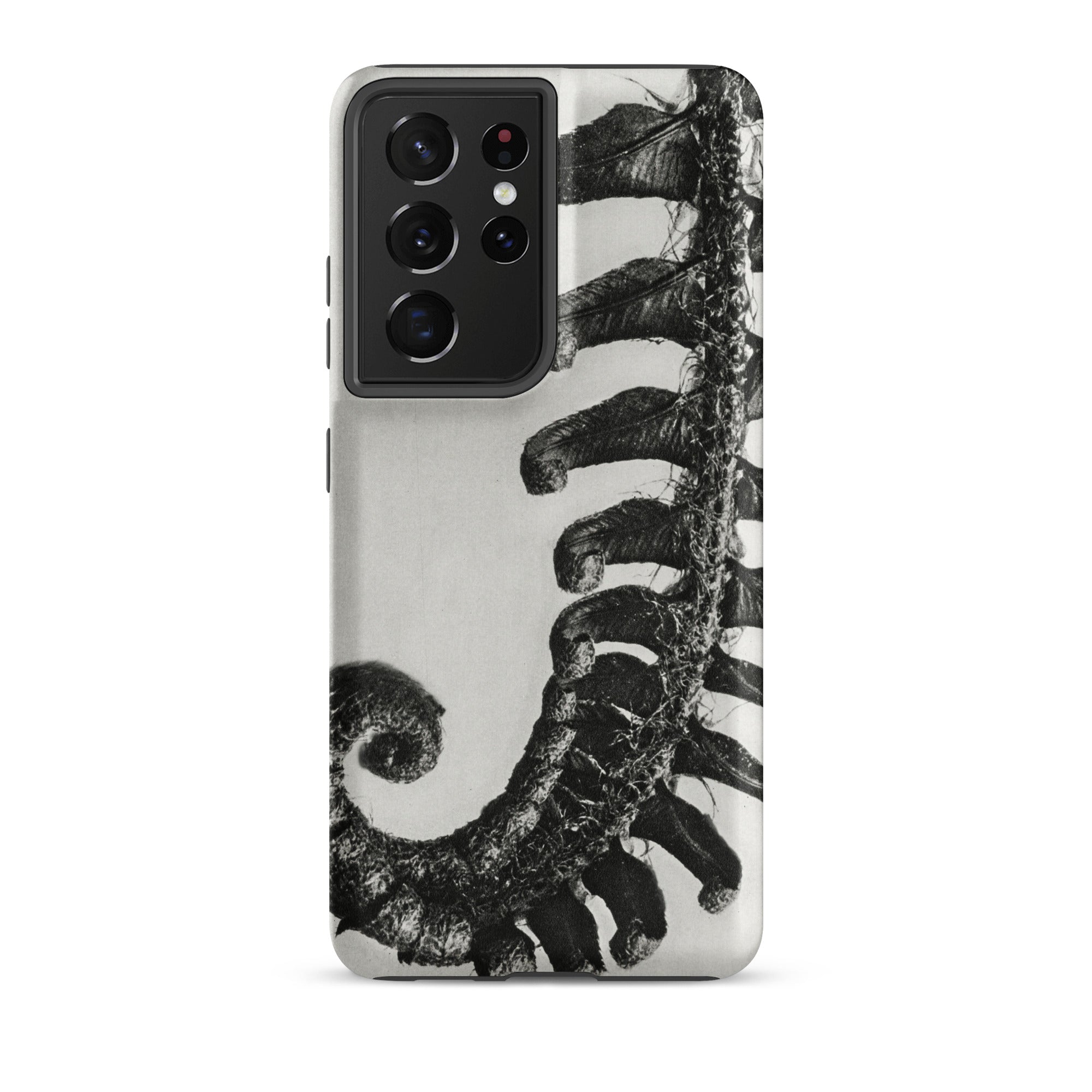 Polystichum Munitum (prickly Shield–fern) - Karl Blossfeldt Samsung Case, Galaxy S21 Ultra / Matte, Black White Phone Case Fern Frond Design