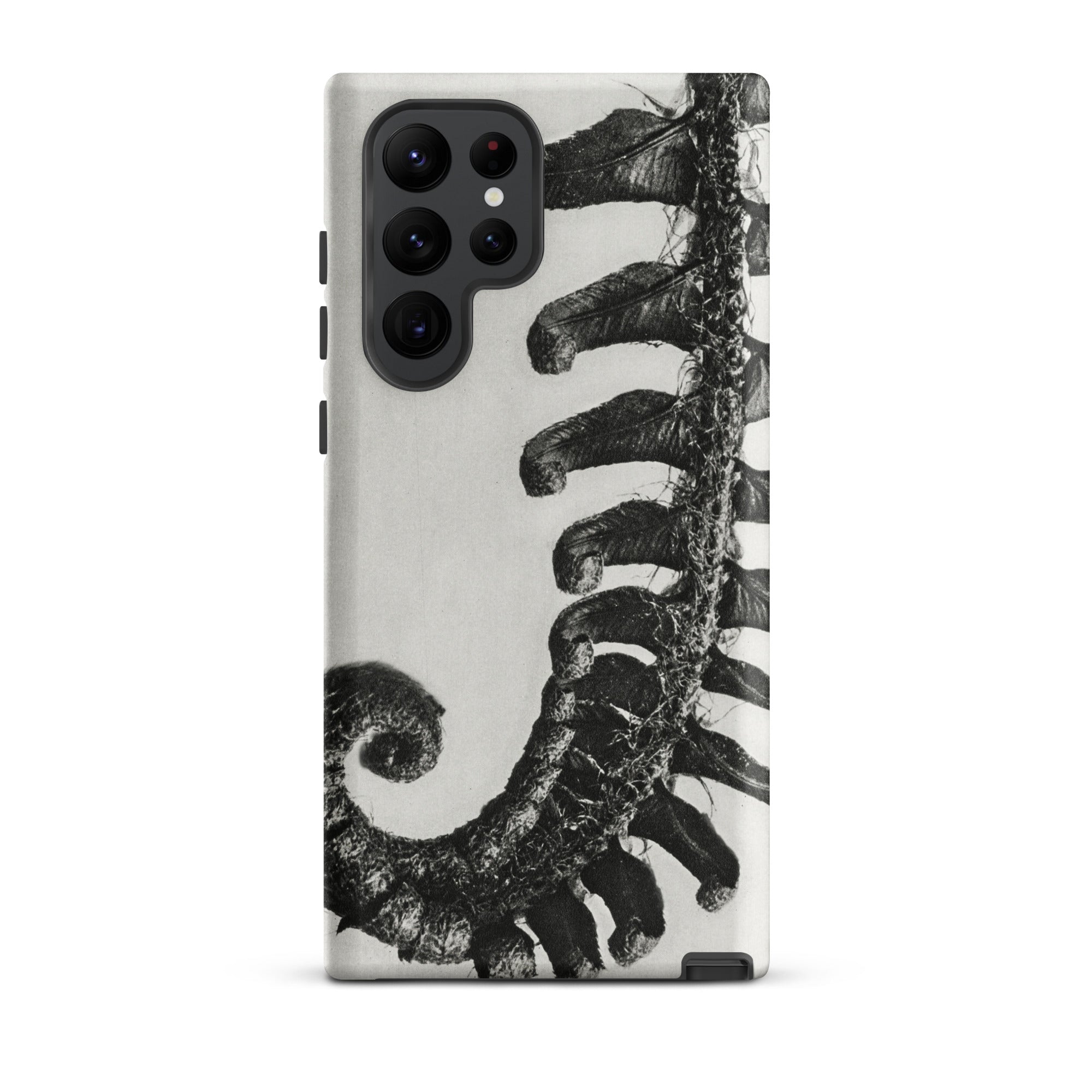 Polystichum Munitum (prickly Shield–fern) - Karl Blossfeldt Samsung Case, Galaxy S22 Ultra / Matte, Black White Fern Pattern Phone Case