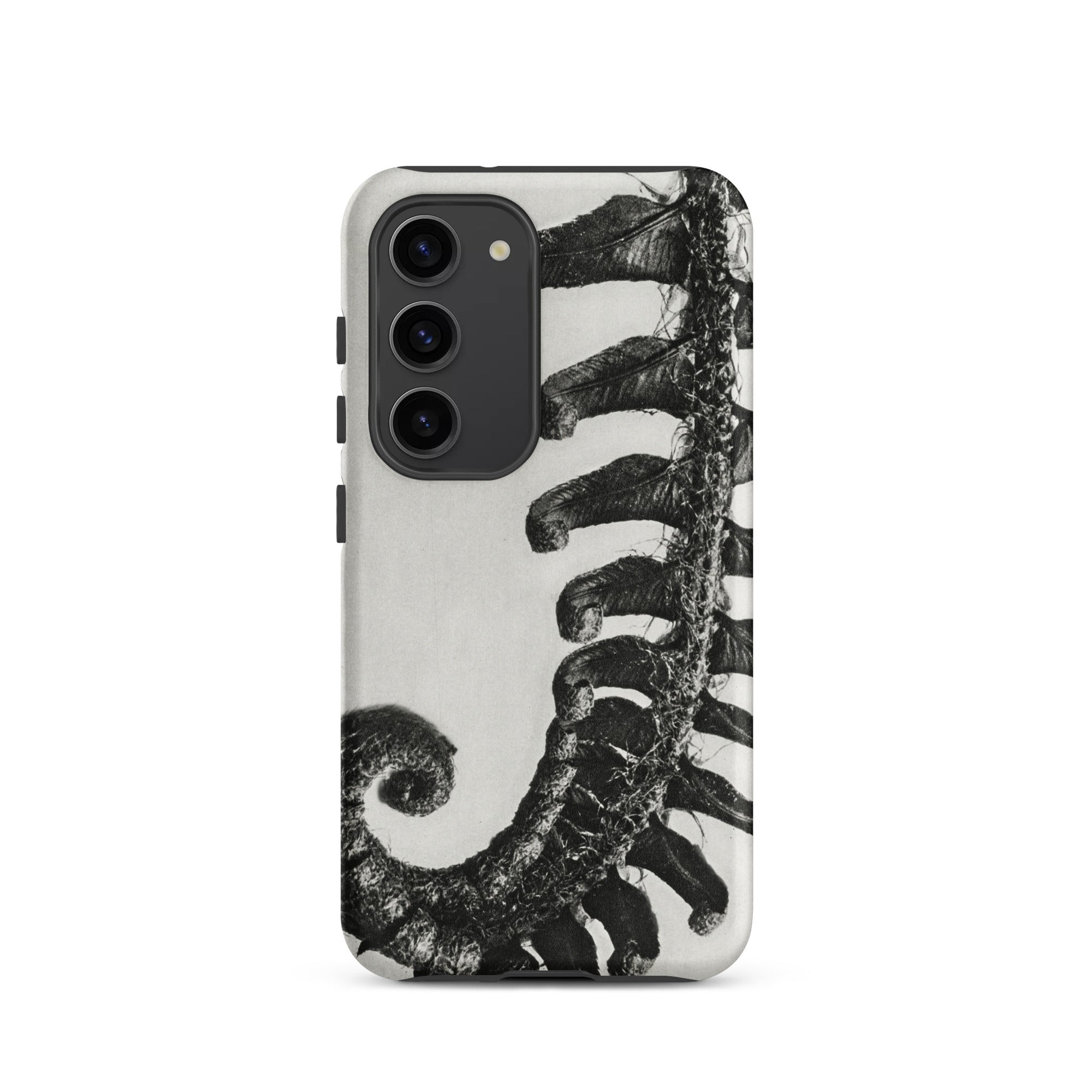 Polystichum Munitum (prickly Shield–fern) - Karl Blossfeldt Samsung Case, Galaxy S23 / Matte, Smartphone Black White Fern Pattern Case
