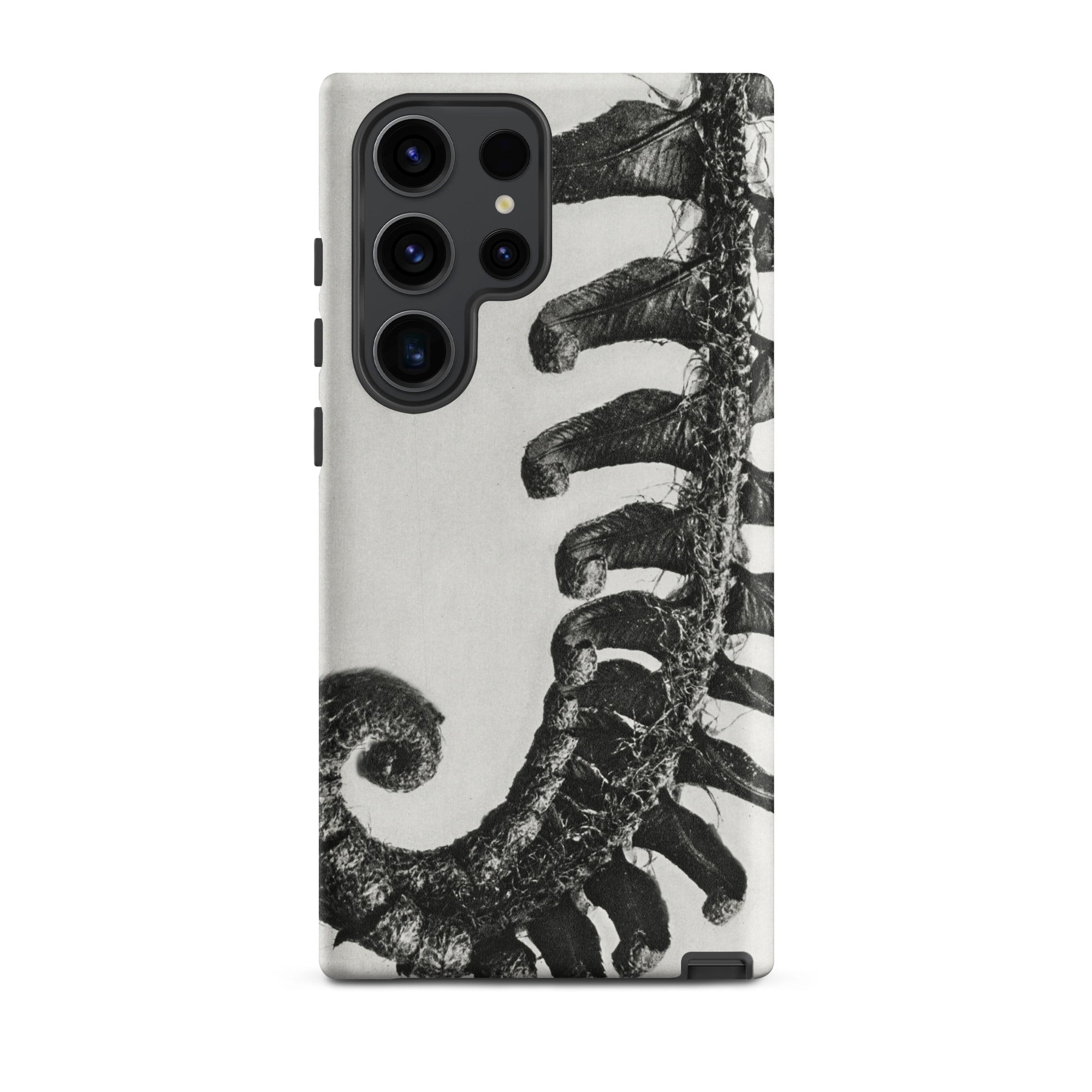 Polystichum Munitum (prickly Shield–fern) - Karl Blossfeldt Samsung Case, Galaxy S23 Ultra / Matte, Phone Case Black White Fern Pattern