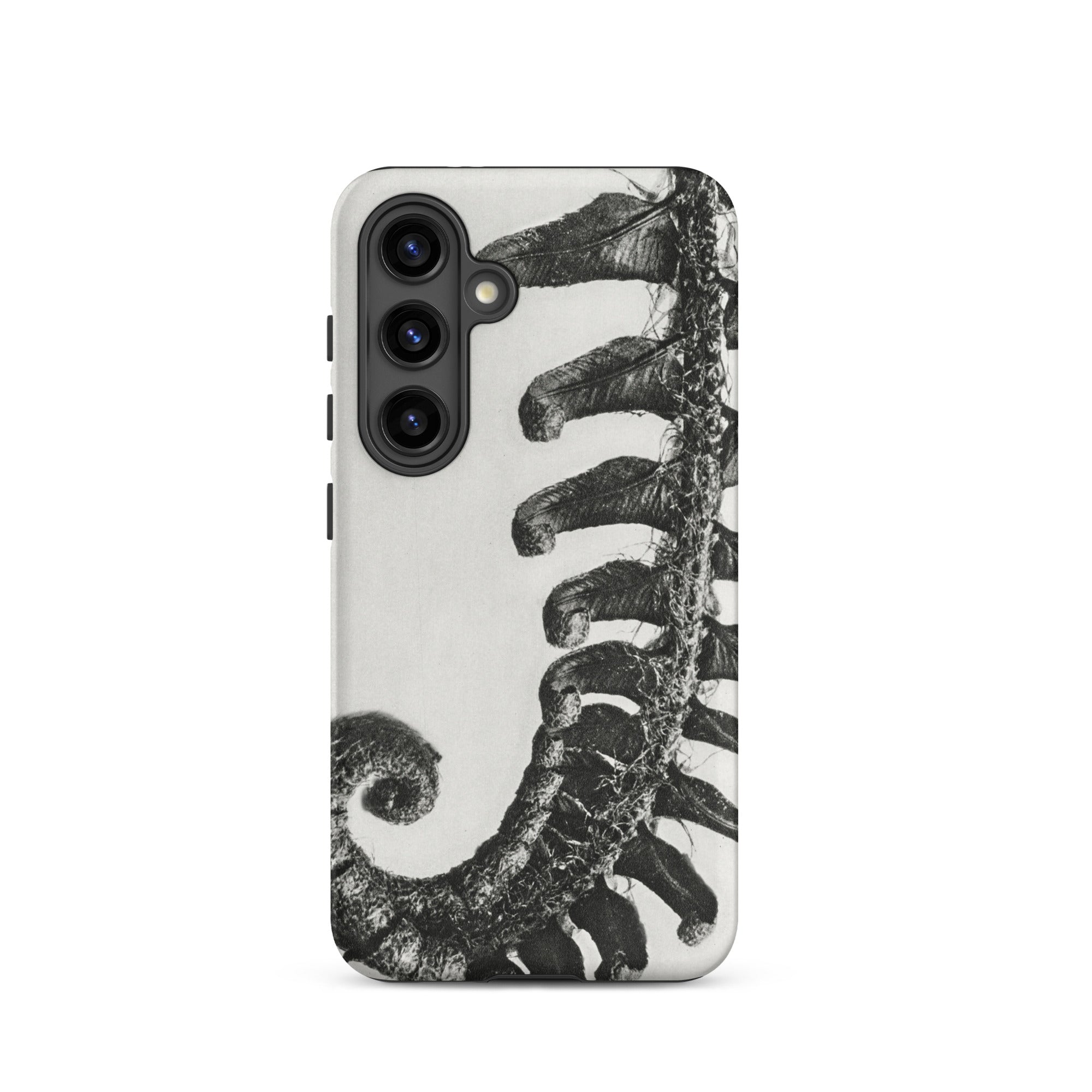 Polystichum Munitum (prickly Shield–fern) - Karl Blossfeldt Samsung Case, Galaxy S24 / Matte, Phone Case Black White Fern Design