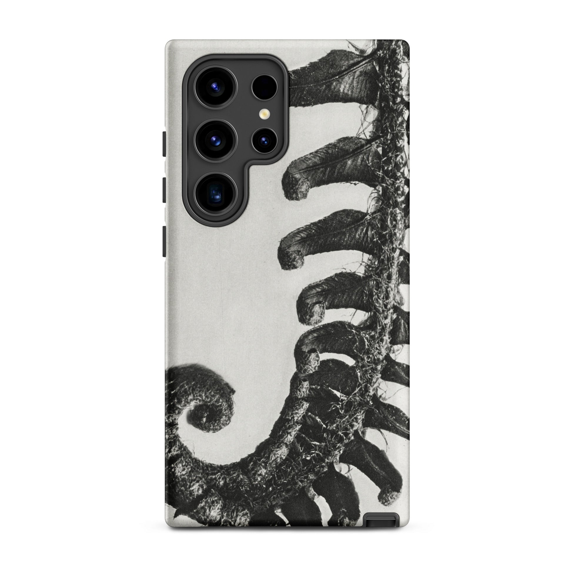 Polystichum Munitum (prickly Shield–fern) - Karl Blossfeldt Samsung Case, Galaxy S24 Ultra / Matte, Black White Fern-patterned Phone Case
