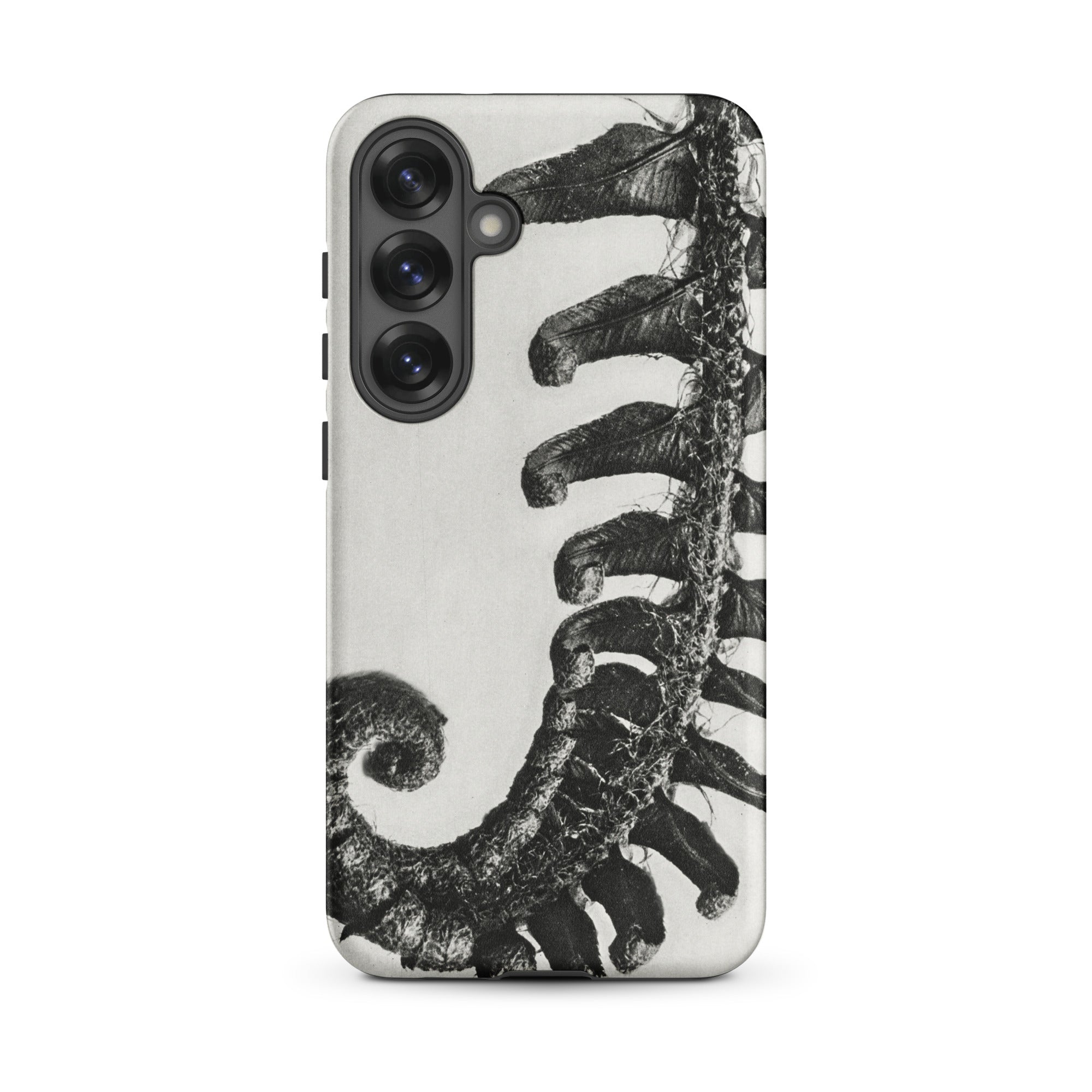 Polystichum Munitum (prickly Shield–fern) - Karl Blossfeldt Samsung Case, Galaxy S25 Plus / Matte, Smartphone Black White Fern Design Case