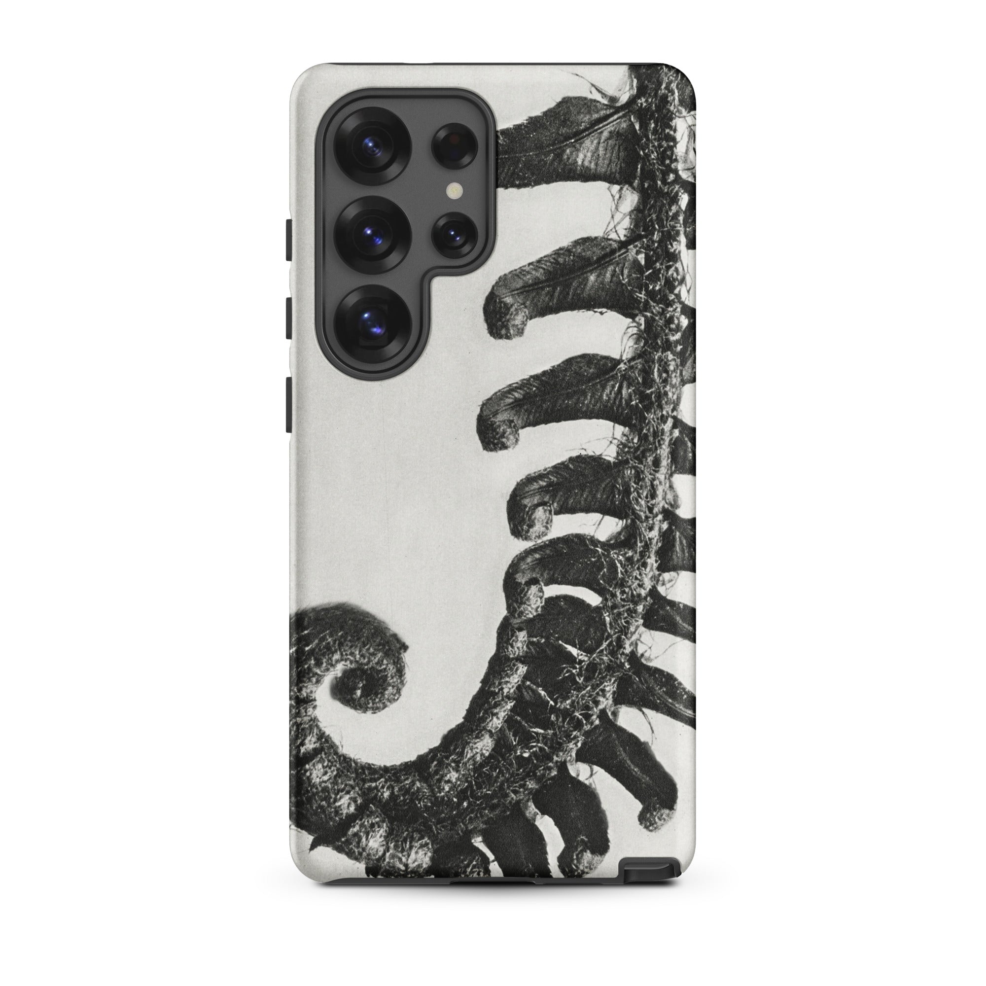 Polystichum Munitum (prickly Shield–fern) - Karl Blossfeldt Samsung Case, Galaxy S25 Ultra / Matte, Black White Fern Pattern Phone Case