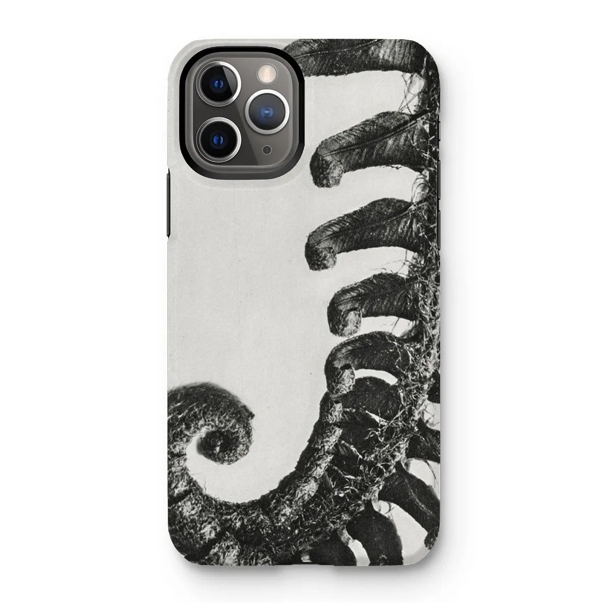 Polystichum Munitum (prickly Shield–fern) By Karl Blossfeldt Tough Phone Case - Iphone 11 Pro / Matte - Mobile Phone