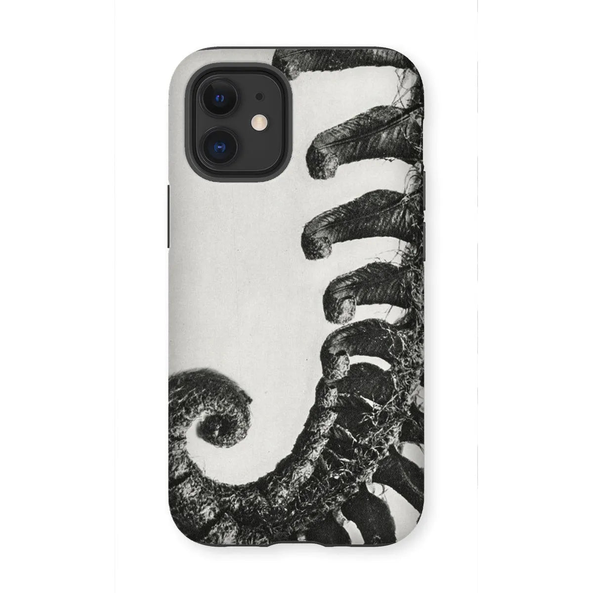 Polystichum Munitum (prickly Shield–fern) By Karl Blossfeldt Tough Phone Case - Iphone 12 Mini / Matte - Mobile Phone