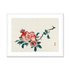 Pomegranate - Kōno Bairei Meiji-era Fruit Art Print Posters Prints & Visual Artwork