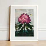 Pontic Rhododendron - Robert John Thornton Art Print / Canvas, 12x16’’ / 31x41cm / White Frame / Matboard, Posters Prints & Visual Artwork,