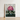 Framed Botanical Illustration Vibrant Cluster Pink Rhododendron Blossoms Robert John Thornton, Pontic, Thornton’s