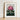 Framed Botanical Print Vibrant Pink Rhododendron Bloom Lush Robert John Thornton, Pontic, Thornton’s