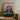 Framed Botanical Print Vibrant Pink Rhododendron Bloom Lush Robert John Thornton, Pontic, Thornton’s