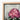 Framed Canvas Print Detailed Botanical Illustration Vibrant Pink Robert John Thornton, Pontic Rhododendron, Thornton’s