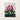 Vibrant Pink Rhododendron Bloom Deep Magenta Accents Lush Robert John Thornton, Pontic, Thornton’s