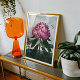 Pontic Rhododendron - Robert John Thornton Art Print, Framed Artwork Pink Rhododendron Flower