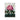 Pontic Rhododendron - Robert John Thornton Art Print, Pink Rhododendron Bloom Dark Green Leaves Two Butterflies