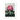 Pontic Rhododendron - Robert John Thornton Art Print, Pink Rhododendron Bloom Dark Green Leaves Two Butterflies
