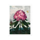 Pontic Rhododendron - Robert John Thornton Art Print Posters Prints & Visual Artwork