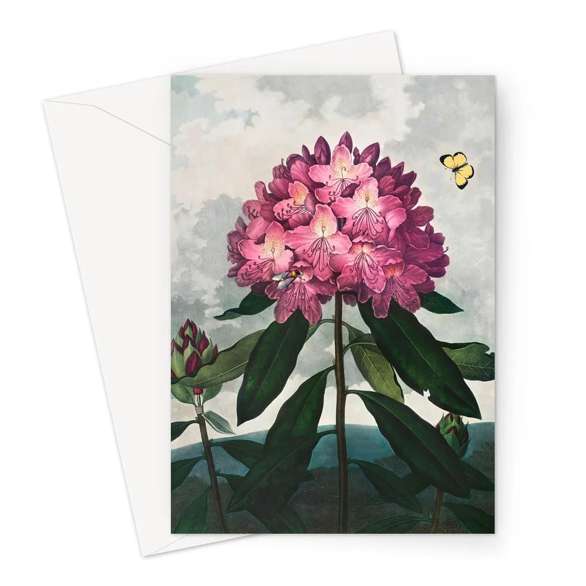 Pontic Rhododendron By Robert John Thornton Greeting Card - A5 Portrait / 1 Card - Notebooks & Notepads - Aesthetic Art