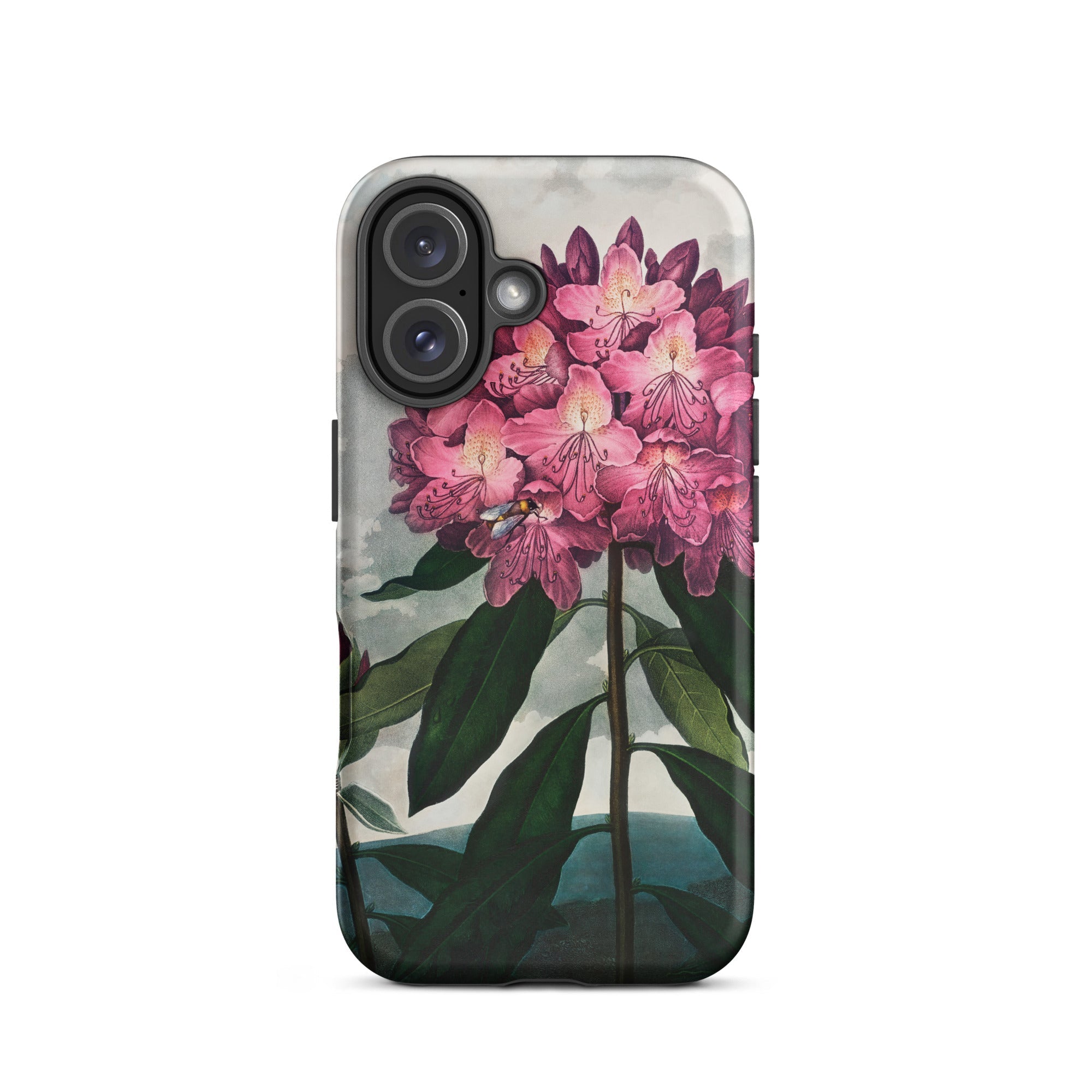 Pontic Rhododendron - Robert John Thornton Iphone Case, 16 / Matte, Floral-patterned Phone Case