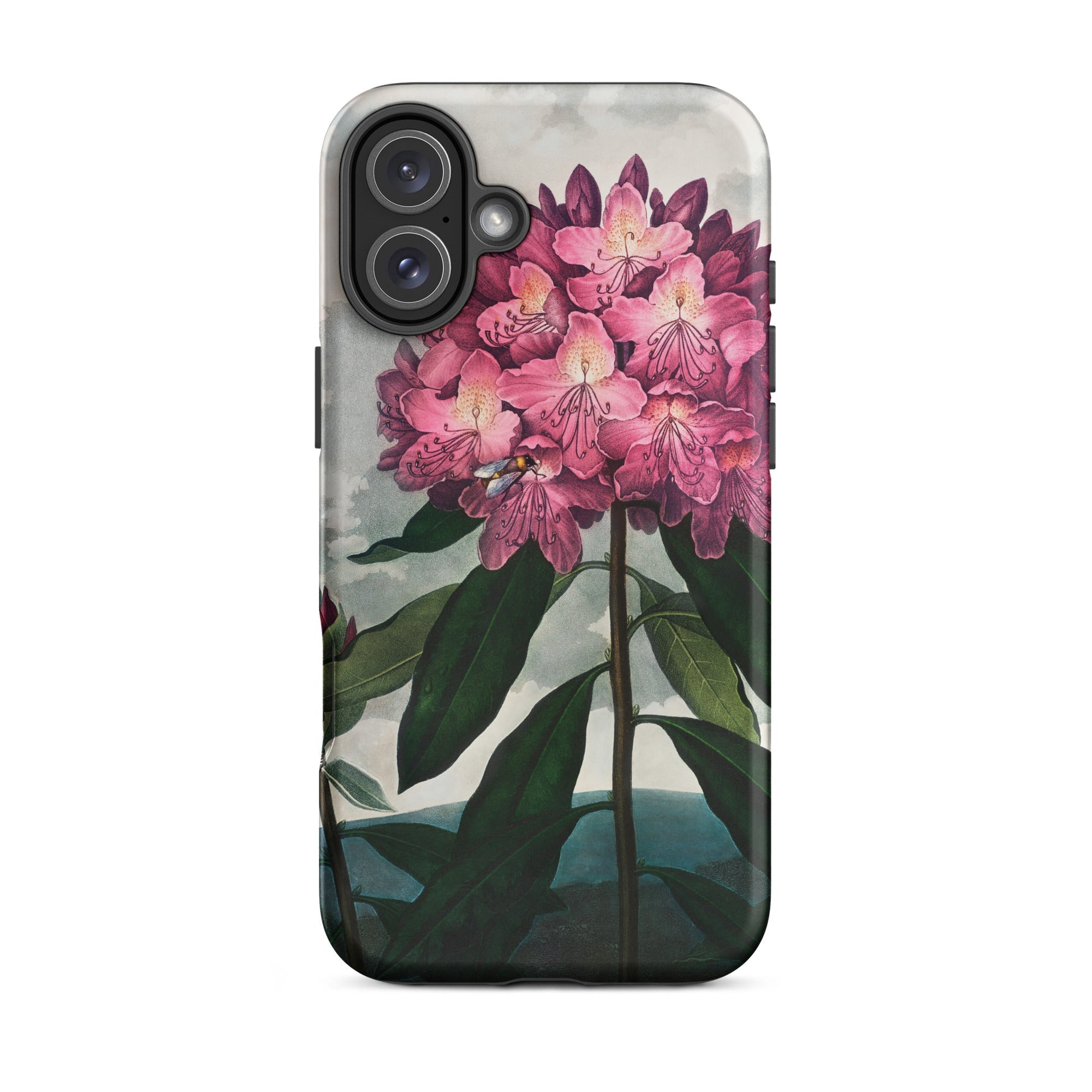 Pontic Rhododendron Robert John Thornton Iphone Case, 16 Plus / Matte, Floral Patterned Phone Case