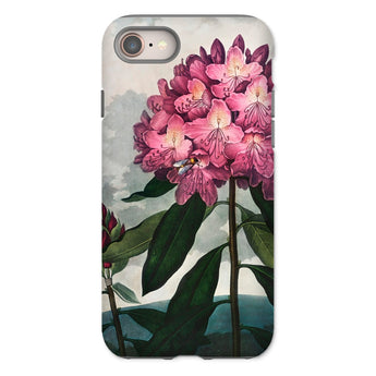 Pontic Rhododendron - Robert John Thornton Iphone Case, 8 / Matte, Floral Phone Case