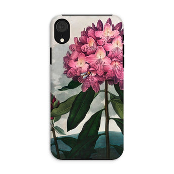 Pontic Rhododendron - Robert John Thornton Iphone Case, Xr / Matte, Floral Phone Case