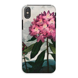 Pontic Rhododendron - Robert John Thornton Iphone Case, Xs / Matte, Floral Phone Case