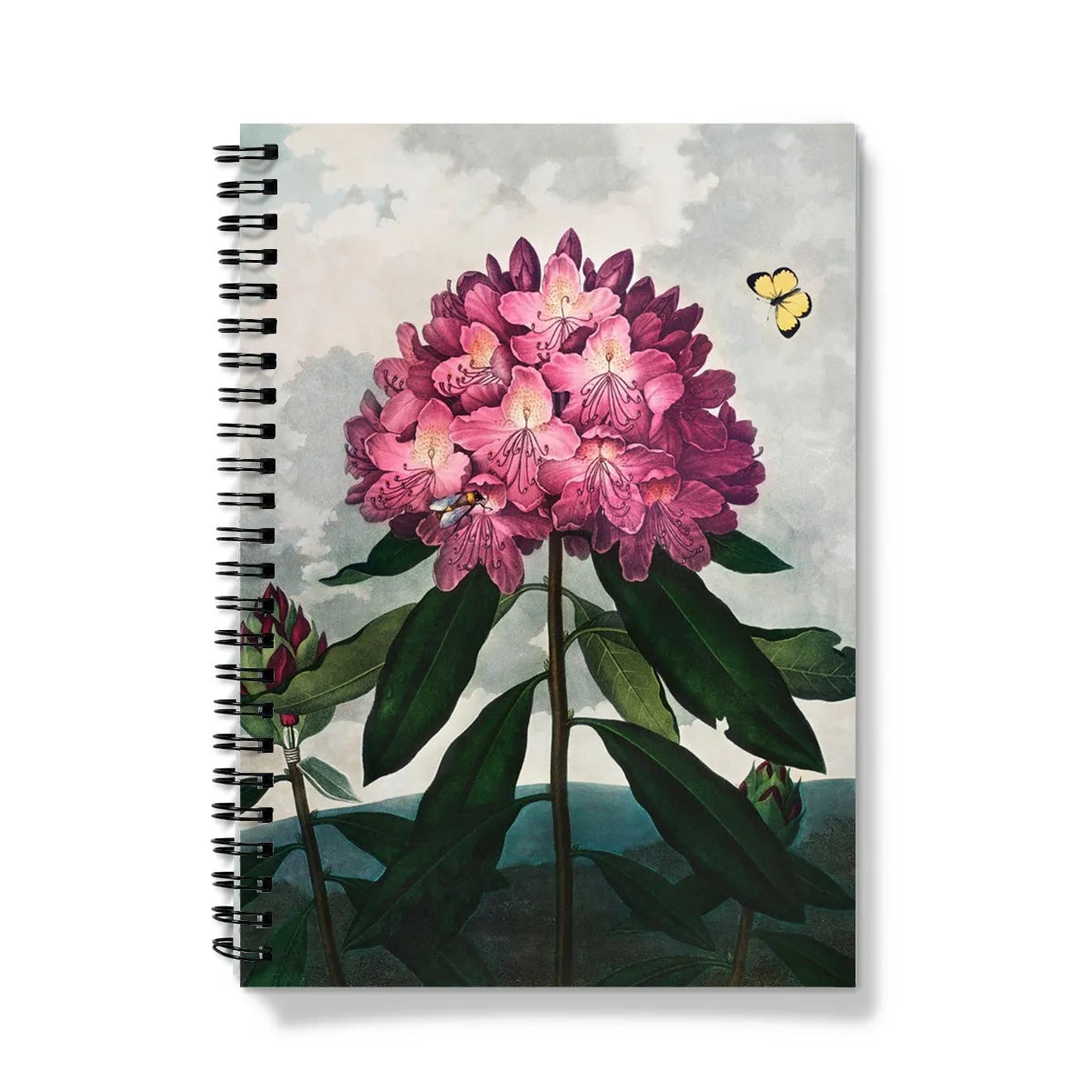 Pontic Rhododendron By Robert John Thornton Notebook - A5 / Graph - Notebooks & Notepads - Aesthetic Art