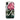 Iphone Xr / Matte Pontic Rhododendron - Robert John Thornton Phone Case, Thorpe
