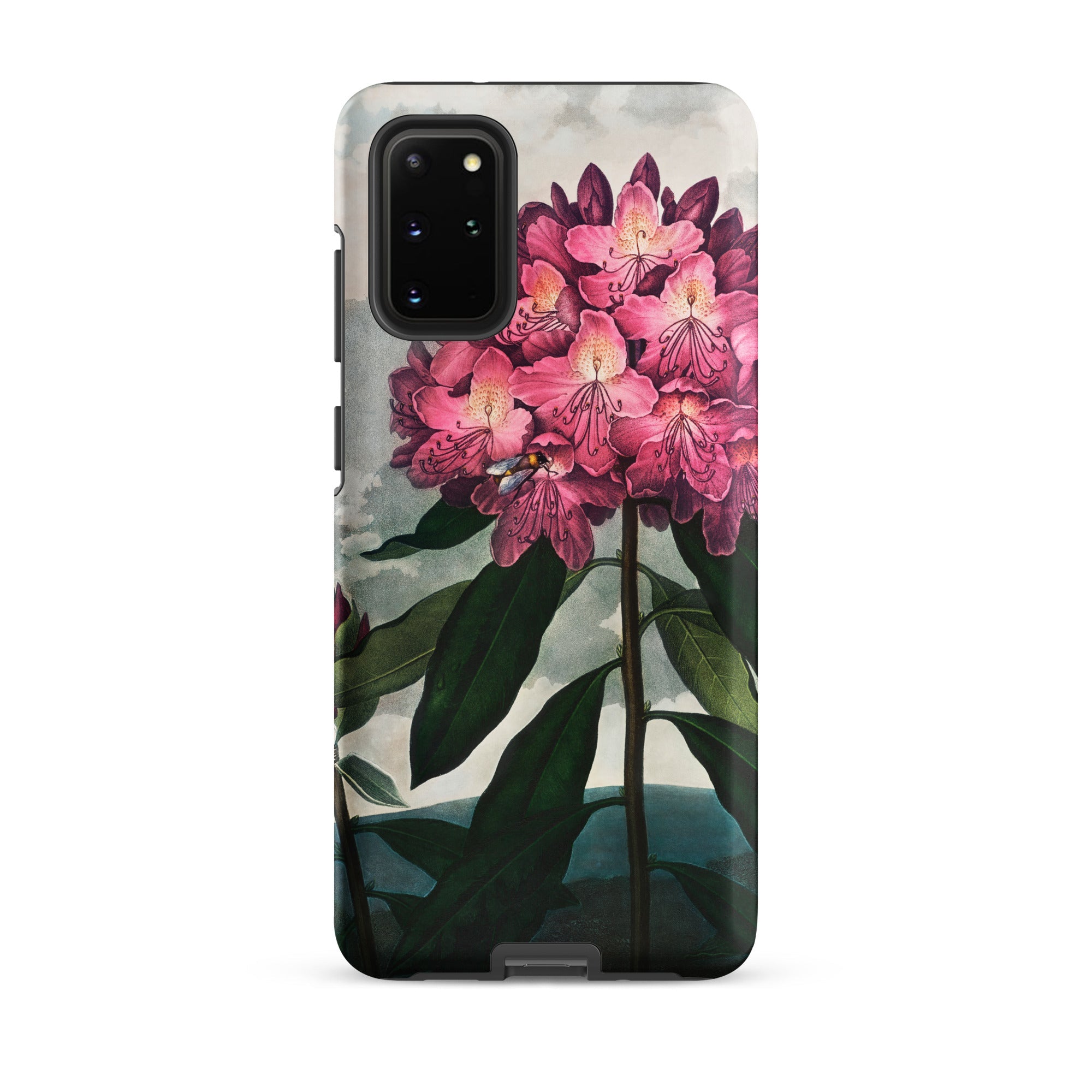 Pontic Rhododendron Robert John Thornton Samsung Case, Galaxy S20 Plus, Smartphone Case Detailed Botanical Illustration Pink Rhododendron