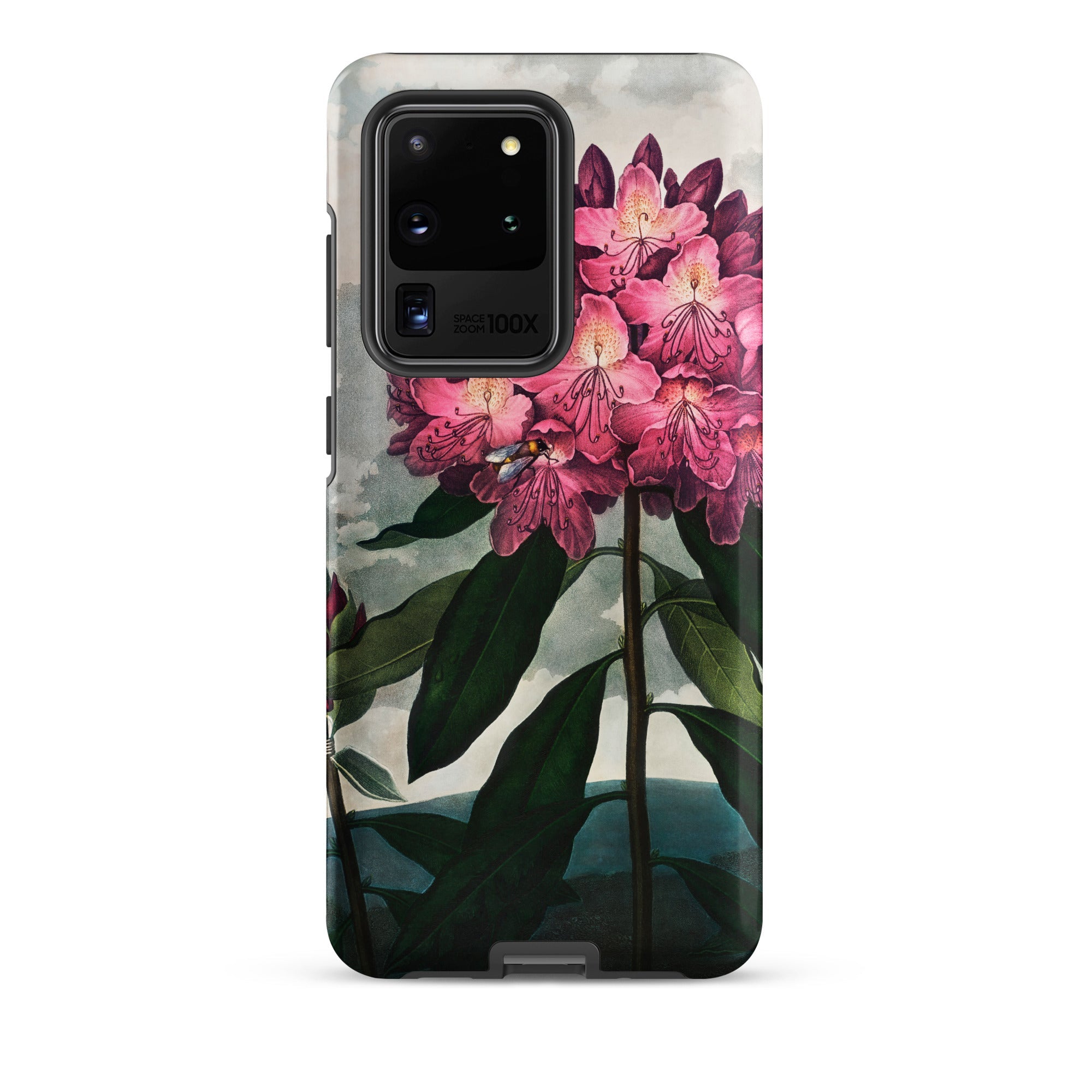 Pontic Rhododendron Robert John Thornton Samsung Case, Galaxy S20 Ultra, Smartphone Case Vibrant Pink Rhododendron Floral Design