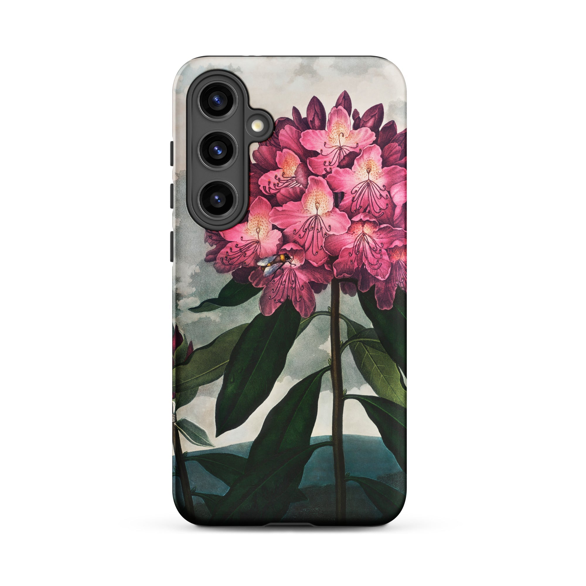 Pontic Rhododendron Robert John Thornton Samsung Case, Galaxy S24 Plus, Black Smartphone Case Vibrant Pink Rhododendron Flower Design